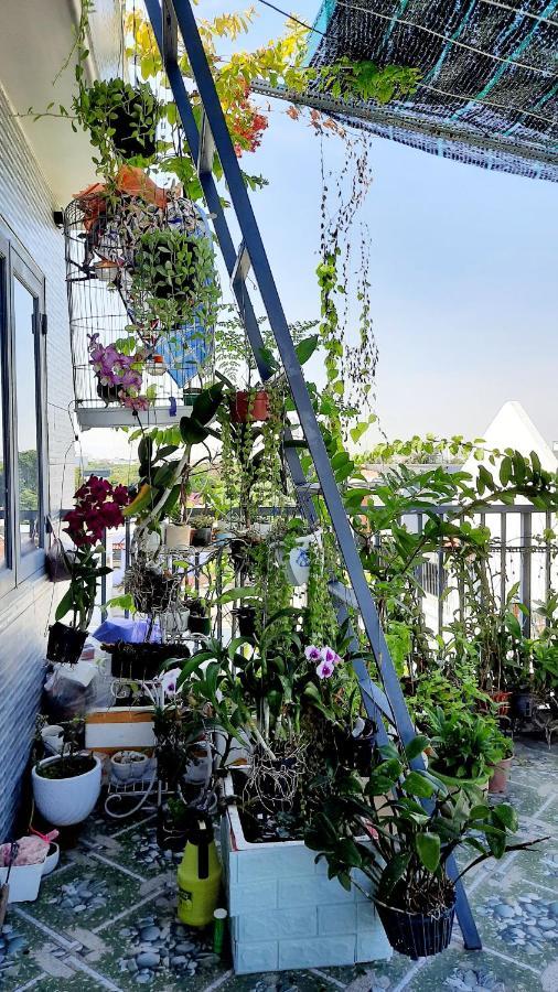 Sena Home 2Nd*Near Danang Han River*Dragon Bridge Exterior photo